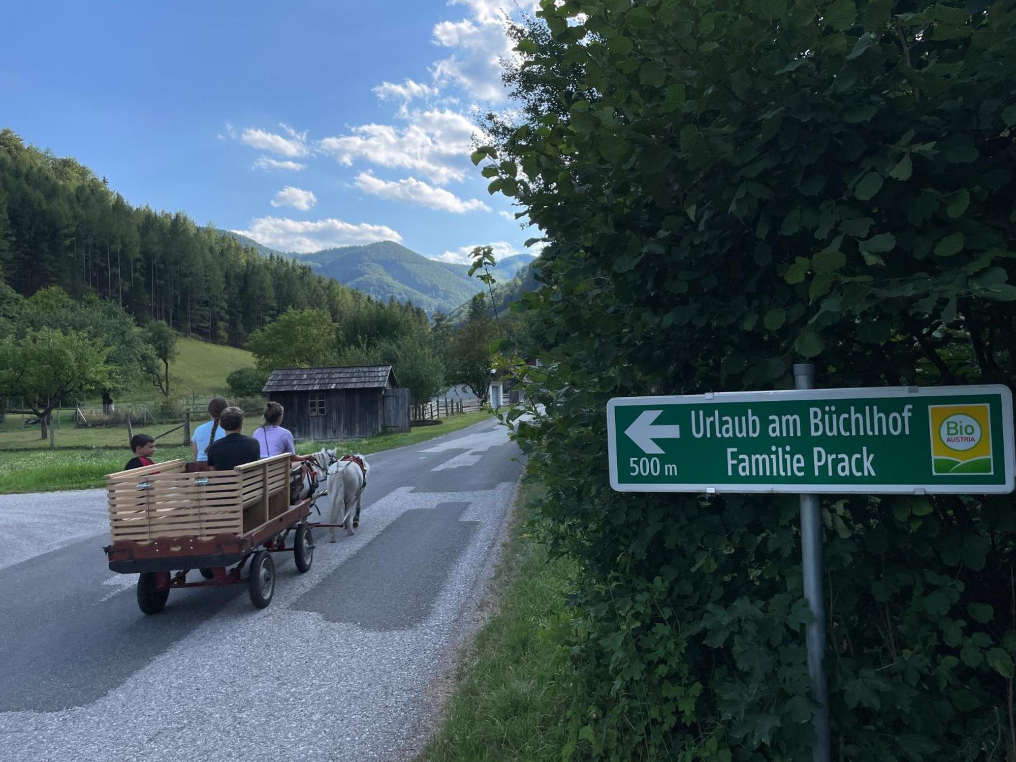 Buechlhof - App. Himmelalm Apartment Lilienfeld Exterior foto